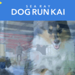 dogrun KAI