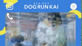 dogrun KAI