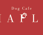 ドッグカフェ メイプル（Dog Cafe MAPLE）